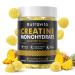 Creatine Monohydrate Gummies for Men & Women-5g of Creatine Monohydrate per Serving - Sugar Free Vegan Pineapple Flavor 120 Count Pineapple 120 Count (Pack of 1)