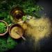 Moringa Living Bitters - 8 oz / 237ml - Buy Online on GoSupps.com
