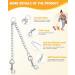HAPPY HACHI Double Dog Heavy Duty Steel Chain Lead - 2 Dogs Leash S-3.0mm*50cm | Durable & Strong Walking Solution - Buy Online on GoSupps.com