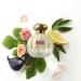 Tocca Lucia Women's Perfume 1.7 oz. (50 ml) - Fresh Floral Fragrance Featuring Italian Lemon Fig and Vetiver 1.7 Fl Oz (Pack of 1) - Buy Online on GoSupps.com