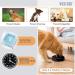 Large Pet Slow Feeder Dog Bowl - Interactive Puzzle Feeding Bowl for Healthy Eating - Non-Skid Bloat Stop Design in Black - Buy Online on GoSupps.com