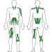 Effekt Kinesiology Tape Waterproof - 5m x 5cm Roll for Muscle Support & Recovery - Green - Buy Online on GoSupps.com