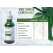 Vitamin C Serum with Hyaluronic Acid | Brightening Treatment & Dark Spot Remover | 2oz Bottle - Buy Online on GoSupps.com