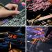 Rainbow Scratch Art Painting Sketch Pad | DIY Night View Scratchboard Kit for Kids & Adults | Engraving & Craft Set | Creative Gift | 16'' x 11.2'' with 3 Tools | Dream Castle Design - Buy Online on GoSupps.com