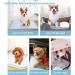 40Pcs Dog Pee Pads Extra Large Disposable Dogs Training Potty Pad Leak-Proof Puppy Pads Pet Training Pads Strong Absorption Floor Mat for Dogs Cats Rabbits(32 x 36 inch) - Buy Online on GoSupps.com