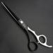 6-Inch Left Handed Hairdresser Scissors Hairdresser Hairdresser Scissors Set (6 inches 2 Pieces) - Buy Online on GoSupps.com