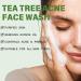 Tea Tree Face Wash Tea Tree Acne Face Wash Facial Wash with Tea Tree Oil Tea Tree Foaming Cleanser For Acne Tea Tree Natural Face Wash for Reduces Acne & Exfoliating & Pimples Wash for All Skin Types - Buy Online on GoSupps.com