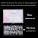 Clear Oval Shaped False Nail Tips - 500PCS Full Cover Acrylic Nails - Buy Online on GoSupps.com