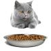 Kathson Stainless Steel Whisker Relief Cat Bowl Set - 4 Pack Shallow & Wide Dishes for Pets - Fits Elevated Stands - 7.00 Inch Dia - Buy Online on GoSupps.com