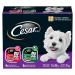 CESAR Filets In Sauce: 6 Roasted Turkey Flavour And 6 Prime Rib Flavour 12x100g Trays Prime Rib - Roast Turkey 100 g (Pack of 12)