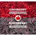Immunia Cranberry & Elderberry Concentrate - Natural Urinary Health Support - 4.05 Fl Oz (Pack of 1) - Buy Online on GoSupps.com