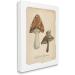 Stupell Industries Woodland Mushrooms & Snail Canvas Wall Art by Carol Robinson 24 x 30 - Buy Online on GoSupps.com