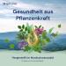 Spitzner Sauna Infusion Alpine Herbs 1 Litre - Premium Aromatherapy for Relaxation | International Shipping Available - Buy Online on GoSupps.com