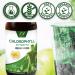 Pure Natural Liquid Chlorophyll Drops by NobleAid - Detox, Odor Neutralizer, Energy Booster - Vegan and Gluten-free Mulberry Supplement - 2 Fl oz - Buy Online on GoSupps.com