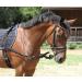 Kerbl Black Side Reins for Ponies - Adjustable & Durable | Shop Internationally - Buy Online on GoSupps.com
