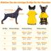 Buy Ultra-Light Waterproof Dog Raincoat with Reflector Strips & Removable Hood | Hundred Coat - Perfect for Outdoor Adventures in Yellow - Buy Online on GoSupps.com