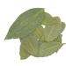 AROMATA DELICATESSEN AROMATA - Dried whole bay leaves - 40g - 100% Natural - Infusions/Stewed - Buy Online on GoSupps.com