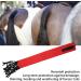 Tail Bag with Fringe Horse Tail Protector Guard Nonwoven Fabric Waterproof Breathable Horse Tail Bag (Red) - Buy Online on GoSupps.com
