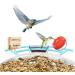 Netvue Multifunction Bird House Stand & Feeder | Versatile Bird Feeding Station for Wild Birds - Ideal for Potions Fruits & Vegetables - Buy Online on GoSupps.com