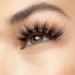 I-Envy 3D Angle & Volume Eye Lashes Lightweight KPEI145 - Buy Online on GoSupps.com