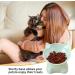 3 PCS Raised Cat Bowl Elevated Cat Feeding Bowls with Stand Tilted Pet Dog Cat Bowl Anti-Tipping Anti Vomit Cat Food Bowl Feeding Water Bowl Cat Dishes 15 Tilted Raised Cat Feeder - Buy Online on GoSupps.com