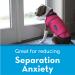 ThunderShirt Sport Dog Anxiety Vest Platinum Large - Buy Online on GoSupps.com