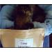 MagJo Naturals Farm Direct Catnip - Freshest Full Pound Bulk Bag - Buy Online on GoSupps.com