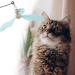 Cobee Interactive Cat Toys - Refillable Feather Propeller Rods with Bells | Perfect for Indoor Cats - Blue & Pink - Buy Online on GoSupps.com