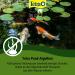 Tetra Pond AlgoRem - 1L Green Water Treatment | 24-Hour Emergency Aid Against Floating Algae for Garden Ponds - International Shipping Available - Buy Online on GoSupps.com