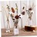 Cabilock Natural Dried Flowers 30 Pcs Natural Artificial Flower Decorative Artificial Flower As Shownx2pcs mediumx2pcs - Buy Online on GoSupps.com