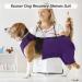 Kuoser Dog Recovery Suit - E-Collar Alternative for Male & Female Dogs Post-Surgery Comfort & Healing Anti-Lick Bodysuit Purple - Buy Online on GoSupps.com