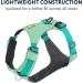 Ruffwear Hi & Light Dog Harness - No Pull Fully Adjustable Lightweight Sage Green (XS 43-56cm) | International Shipping - Buy Online on GoSupps.com