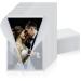 200 Pcs Translucent Vellum Jacket Wedding Invitation 10.63 x 7.09 Inch Invitation Cover Wraps for 5 x 7 Inch Invitations Cards Wedding Party