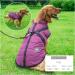 2-in-1 Large Dog Jacket & Harness - Outdoor Sport Vest for Big Dogs - Warm Winter Coat - 5XL Purple - Buy Online on GoSupps.com