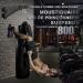 Imaycc BoxSack Heavy Load Punching Bag Stand | Adjustable Wall Bracket for Home & Gym | Supports Up to 400kg for Muay Thai Bags - Buy Online on GoSupps.com