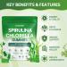 Organic Spirulina & Chlorella Gummies with 12 Super Greens Blend Chlorophyll Sea Moss Parsley Leaf Peppermint Leaf and Green Tea for Daily Energy Detox & Immunity 90-Count Green Apple Flavor - Buy Online on GoSupps.com