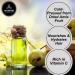 Naturevibe Botanicals Fractionated Coconut Oil 32oz Arnica Oil 32oz and Amla Oil 32oz |Oil Combo - Buy Online on GoSupps.com