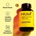 HUM Daily Wellness Essentials Bundle Dream Team Magnesium + OMG! Omega The Great + Here Comes The Sun Vitamin D3 - Buy Online on GoSupps.com