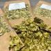 Hops Tea 30g - Relax & Calm with Whole Leaf Humulus Lupulus Herbal Remedy by J. - Chmiel Szyszki - Buy Online on GoSupps.com