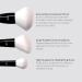 Beauty Essentials 5 Brush Set - Premium Vegan Makeup Brushes for Flawless Blending | Ideal for Powder Blush Concealers & Eyeshadow - Buy Online on GoSupps.com