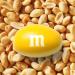 M&M'S Peanut Milk Chocolate Candies Sharing Bag 165g Peanut 165g - Buy Online on GoSupps.com