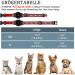 JiaraRui Reflective AirTag Cat Neck Band - Adjustable GPS Collar for Cats & Puppies | Red 9-13 inch - Buy Online on GoSupps.com