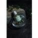 Buy Re:NK Refresh Dragon-Peptide Moisturizing Serum for Sensitive Skin | 30mL - International Shipping Available - Buy Online on GoSupps.com