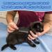 ExceLife Flea Comb for Dogs Cats Rubber Handle Dog Hair Comb Stainless Steel Grooming Brushes for Removing Tear Stains Fleas Dandruff Lice (Red) - Buy Online on GoSupps.com