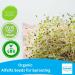 Organic Alfalfa Seeds for Sprouting 500g | Certified Organic by Fenbrook Organic - Buy Online on GoSupps.com