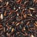 ROYAL THAI Rice Glutinous Black Rice 1 x 1 kg - Buy Online on GoSupps.com