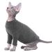 Pumyporeity sphynx hairless cat cotton clothes sweater nied breathable t-shirts pet clothing round collar vest kitten shirts soft skin-friendly clothing outfit (black xs) xs a-black
