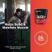Optimum Nutrition Gold Standard 100% Whey Protein Powder 670g - Double Rich Chocolate - 22 servings (packaging may vary) Chocolate 22 Servings (Pack of 1) - Buy Online on GoSupps.com