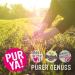 Purya! Bio Vegan Protein Drink | Raw Organic Beverage Powder | Lactose-Free Protein for Muscles & Fitness | 550g Pack - Buy Online on GoSupps.com