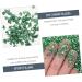 Beatifufu 1 Glass Chip Shiny Nail Stickers DIY Epoxy Filling DIY Glass Fillers Nail Crushed Glass Manicure DIY Accessories Manicure Charm Nail Glass Epoxy Fillers Nail Art Stone 0.5X0.3cm Green - Buy Online on GoSupps.com